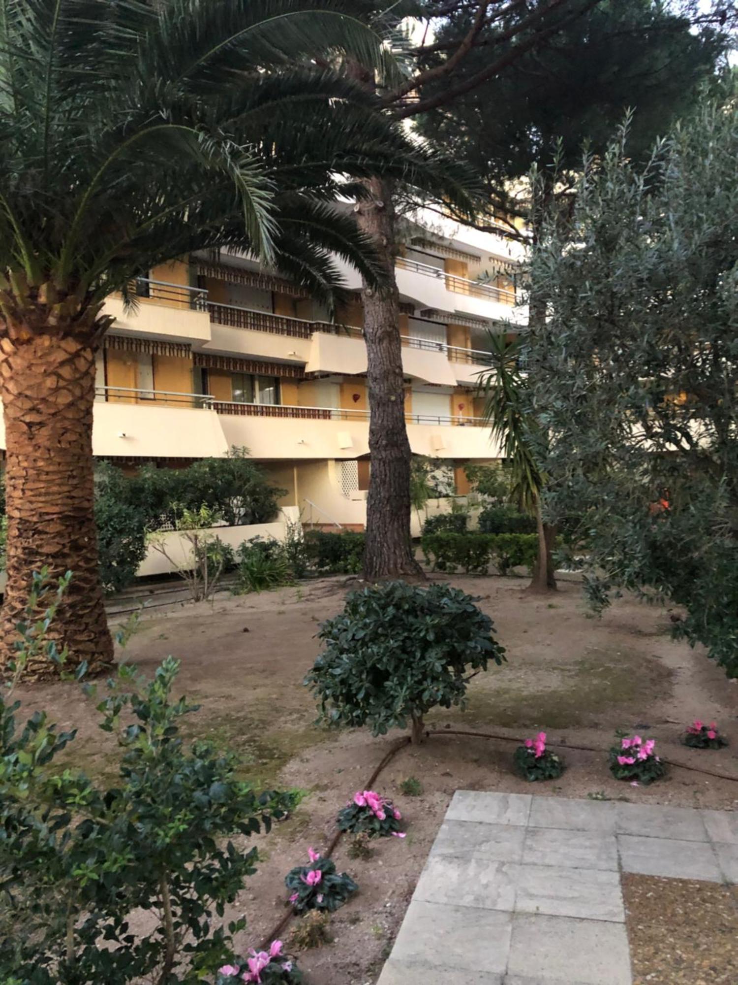 Appartement La Miougrano