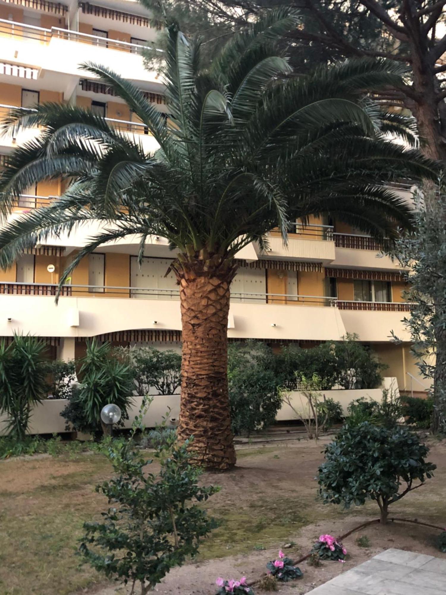 Appartement La Miougrano *