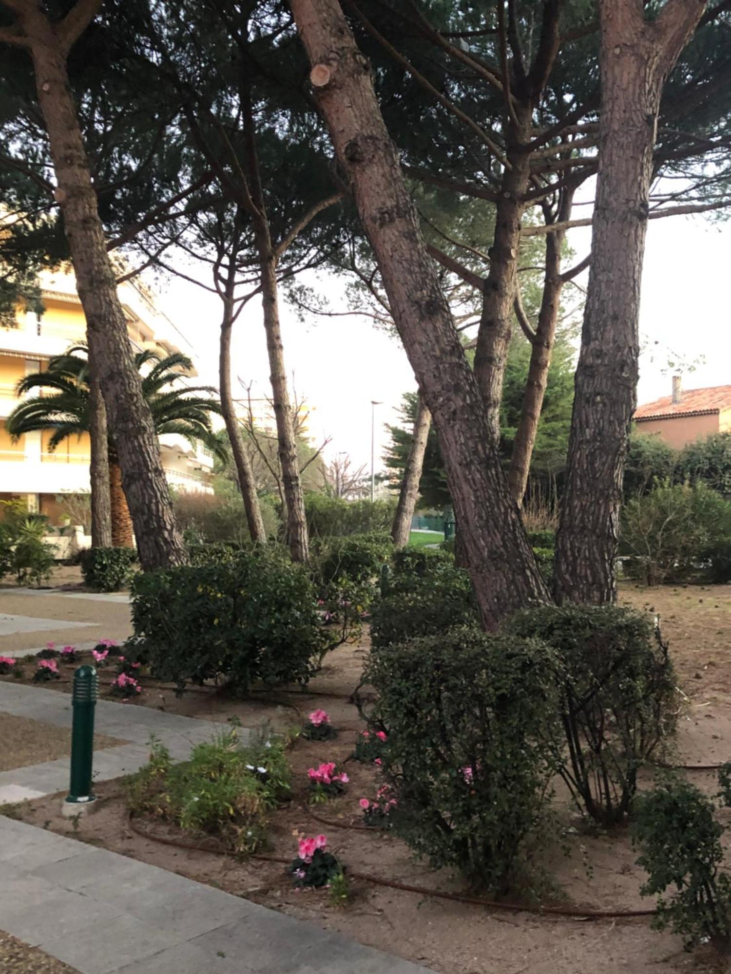 La Miougrano Appartement *